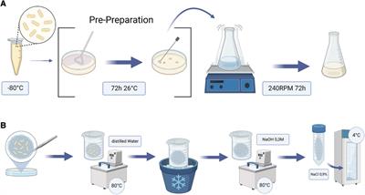 Biogenic polymer-based patches for congenital cardiac surgery: a feasibility study